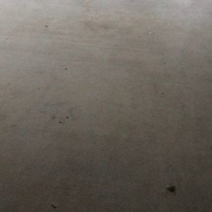 Meet your Posher, Misty